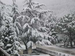 neve del 7 marzo 2004
